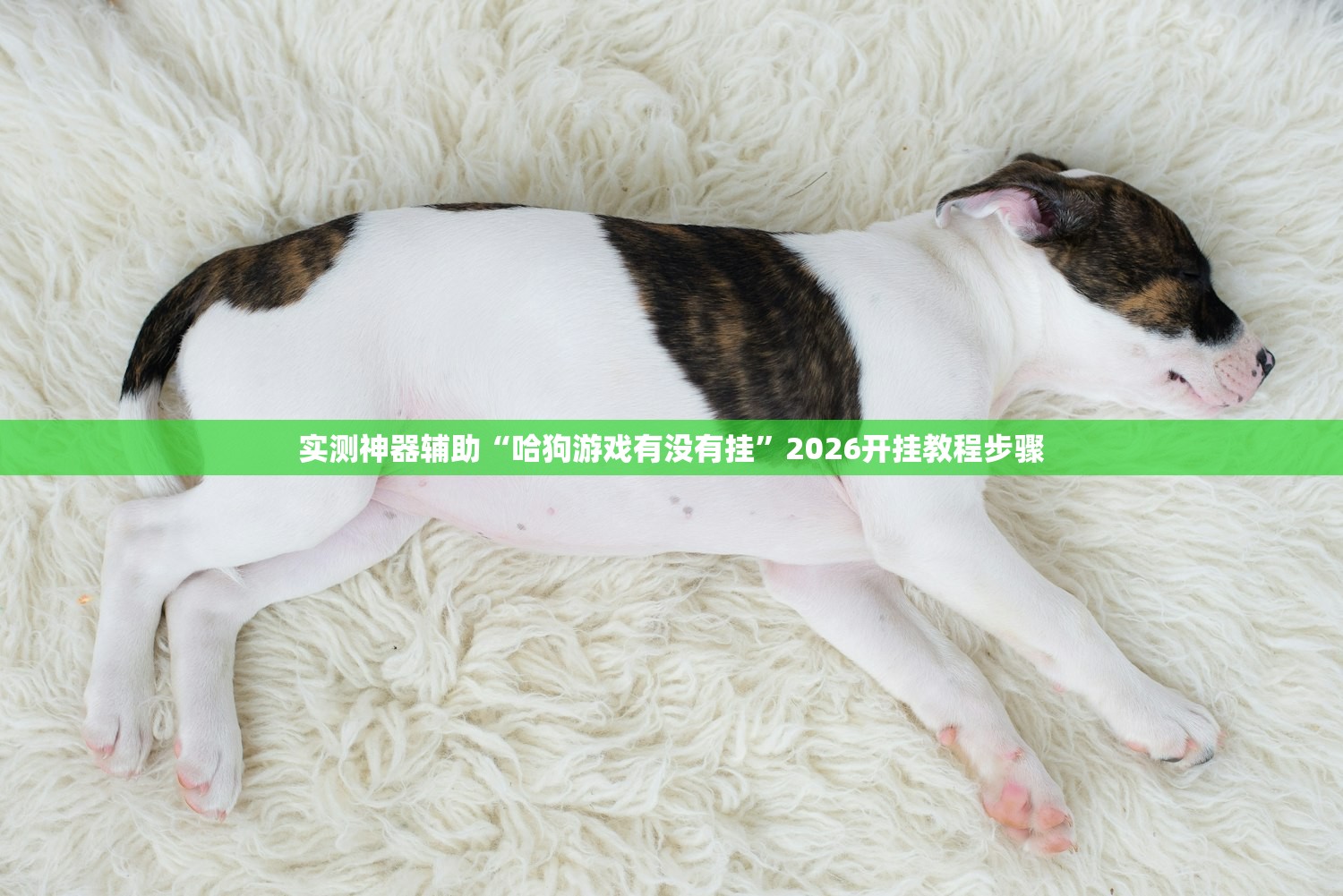 实测神器辅助“哈狗游戏有没有挂”2026开挂教程步骤