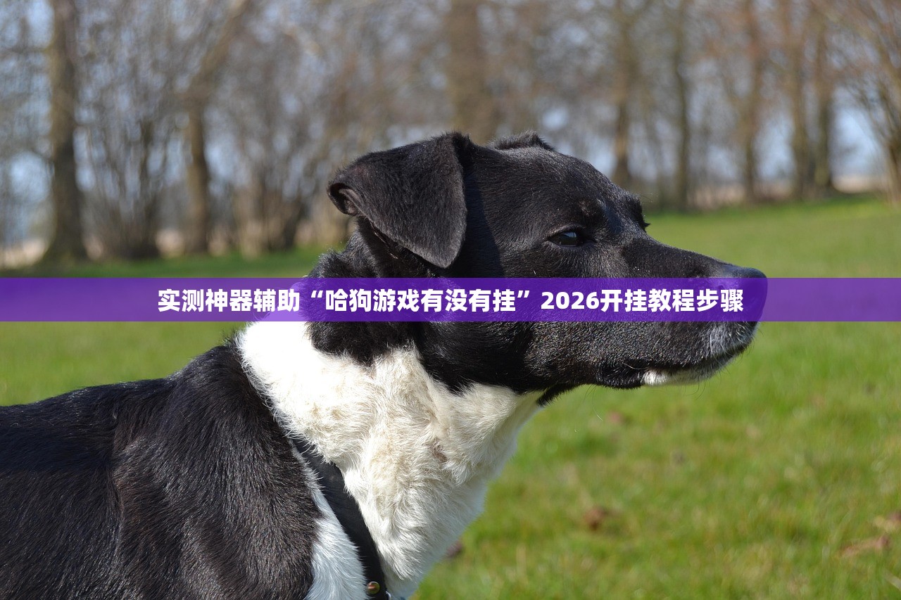 实测神器辅助“哈狗游戏有没有挂	”2026开挂教程步骤