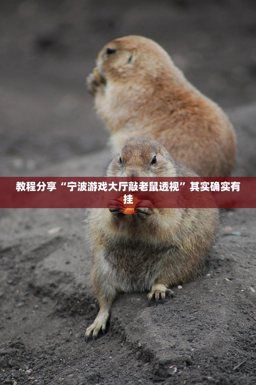 实测分享“微乐锄大地怎么拿好牌”(透视挂)辅助下载教程