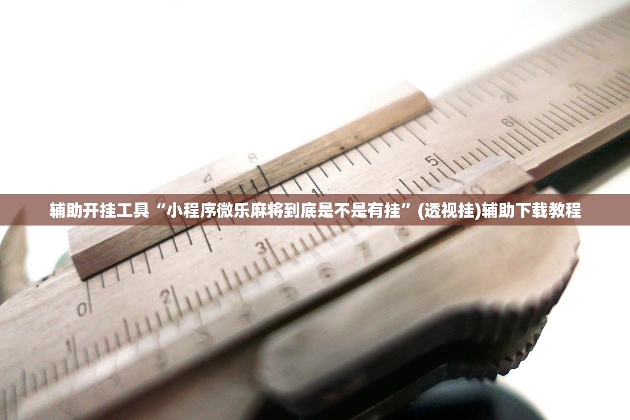 辅助开挂工具“小程序微乐麻将到底是不是有挂”(透视挂)辅助下载教程