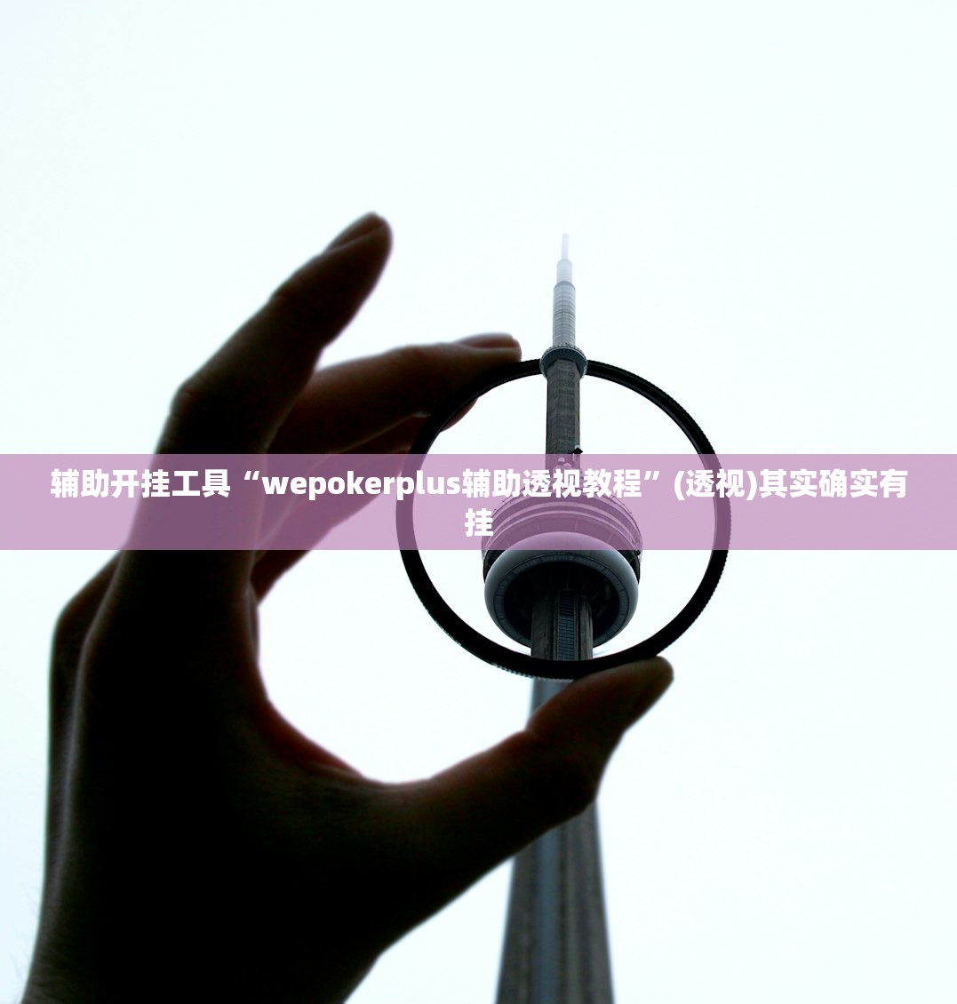 辅助开挂工具“wepokerplus辅助透视教程”(透视)其实确实有挂