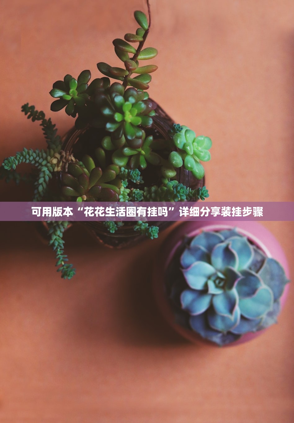 可用版本“花花生活圈有挂吗	”详细分享装挂步骤