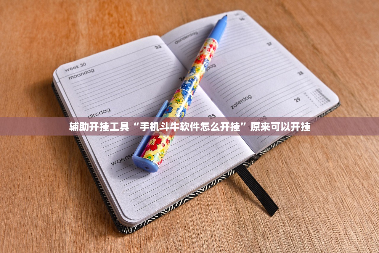 辅助开挂工具“手机斗牛软件怎么开挂	”原来可以开挂