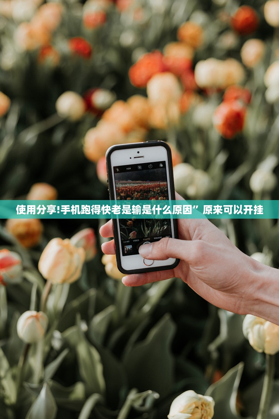 使用分享!手机跑得快老是输是什么原因	”原来可以开挂