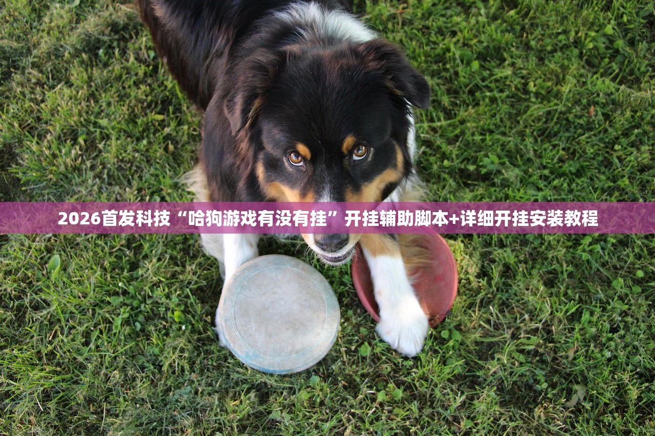 2026首发科技“哈狗游戏有没有挂”开挂辅助脚本+详细开挂安装教程