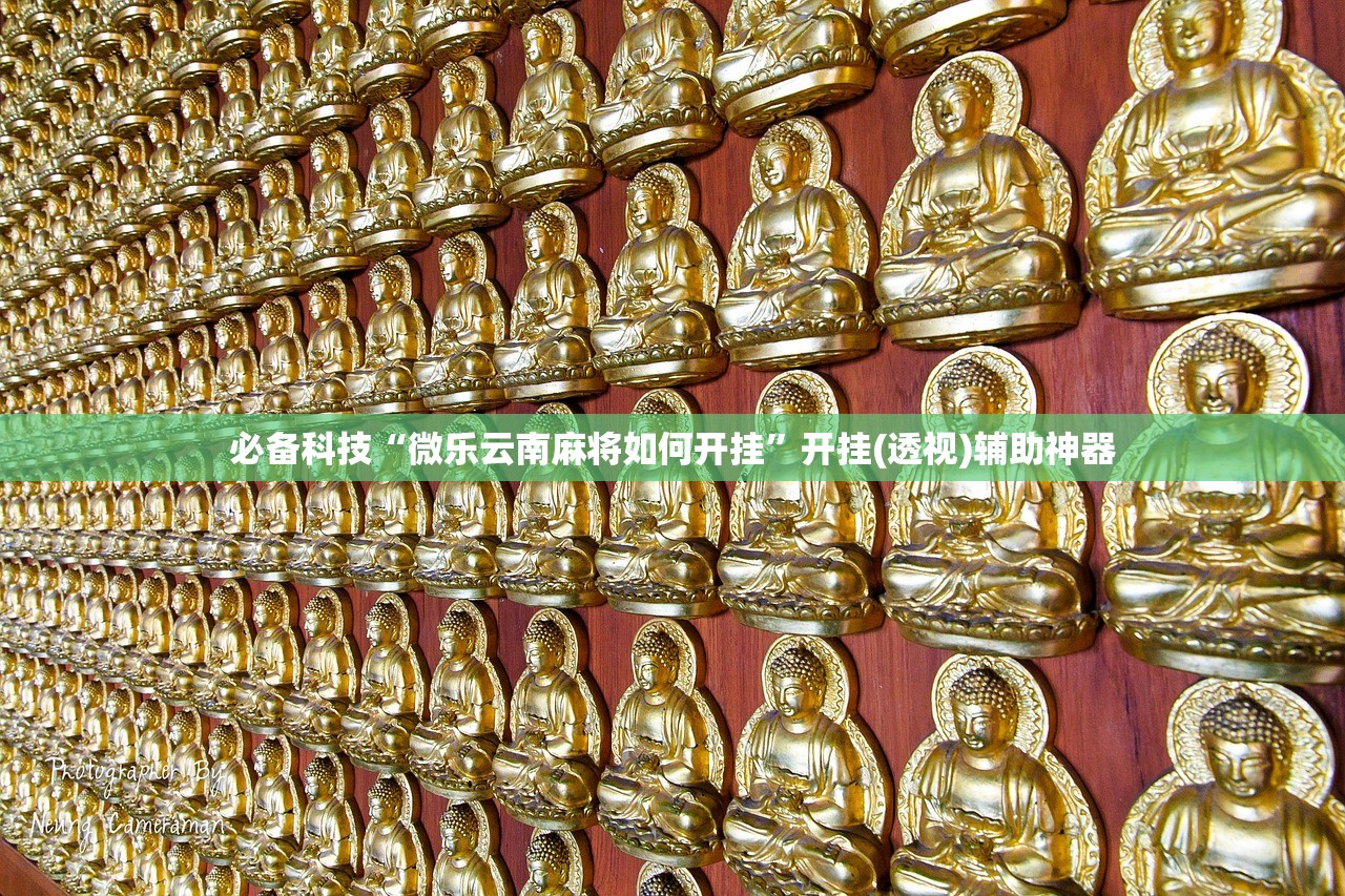 必备科技“微乐云南麻将如何开挂	”开挂(透视)辅助神器