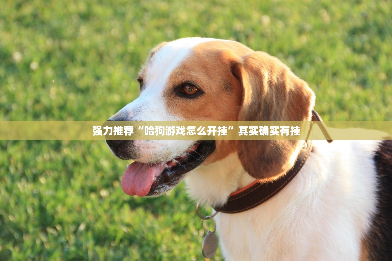 教程辅助!家乡大贰内部免费挂”原来可以开挂