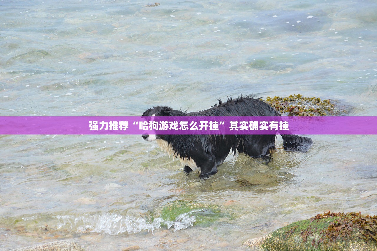 强力推荐“哈狗游戏怎么开挂	”其实确实有挂