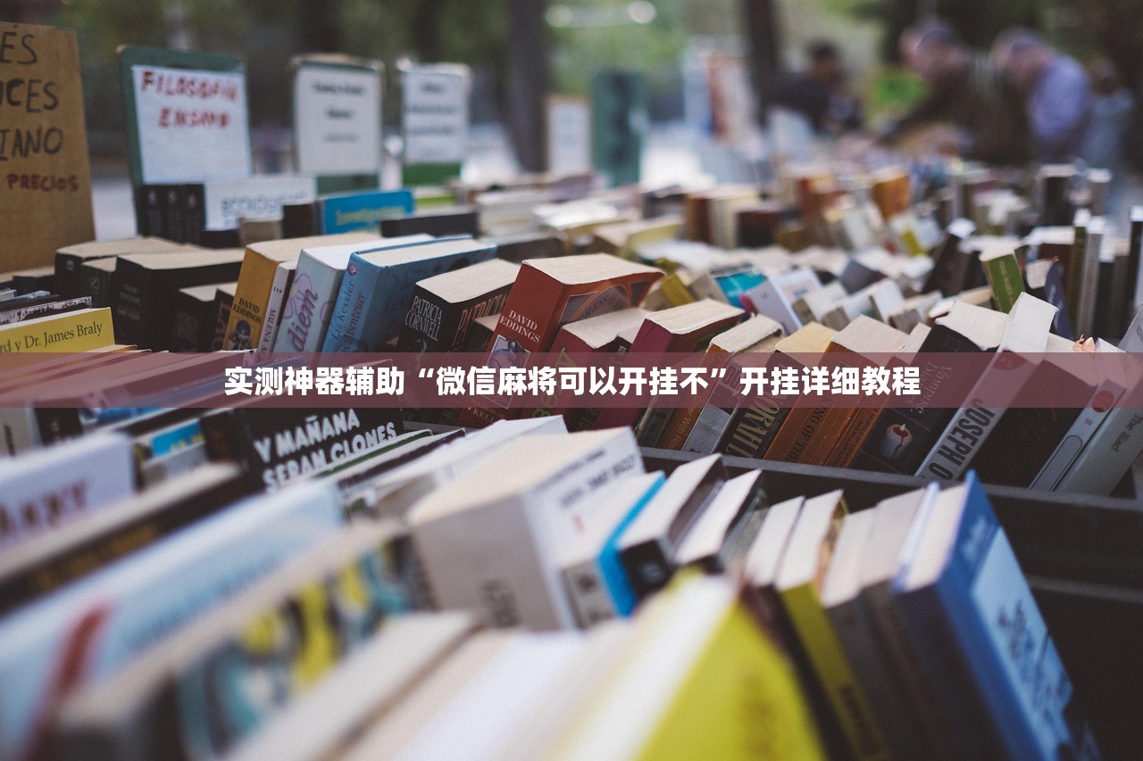 【石磊是哪个大学的,石磊是干什么的】