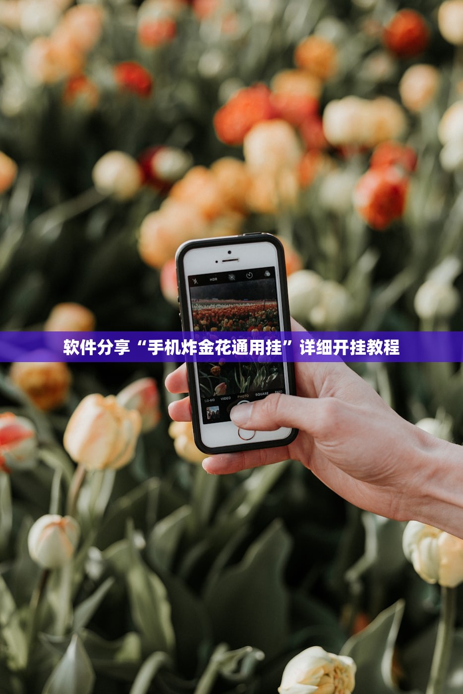 软件分享“手机炸金花通用挂	”详细开挂教程