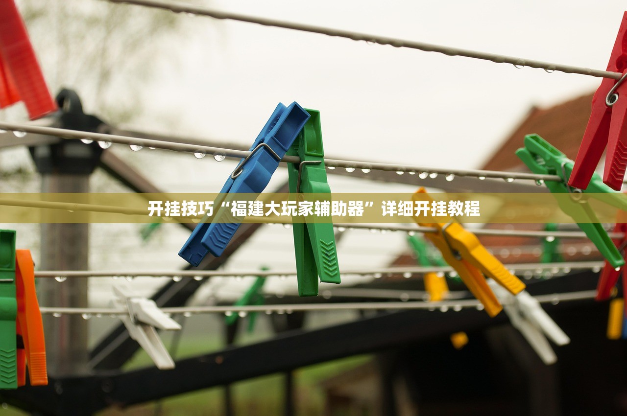 开挂技巧“福建大玩家辅助器”详细开挂教程