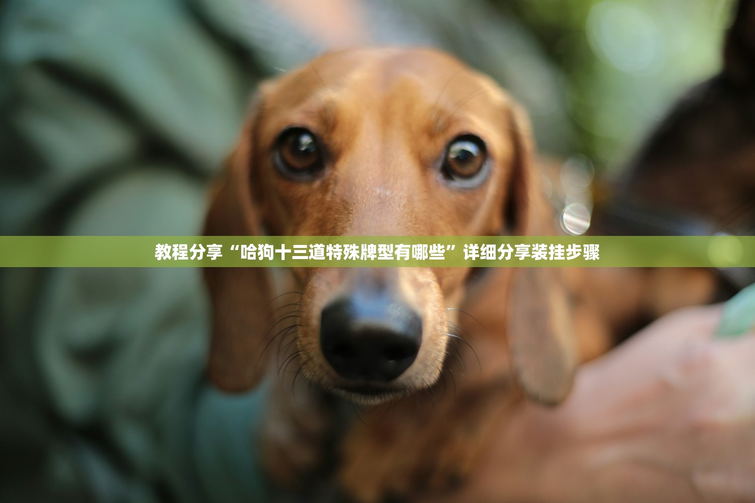 西安疫情的最新数据（西安疫情最新消息数据实时更新）