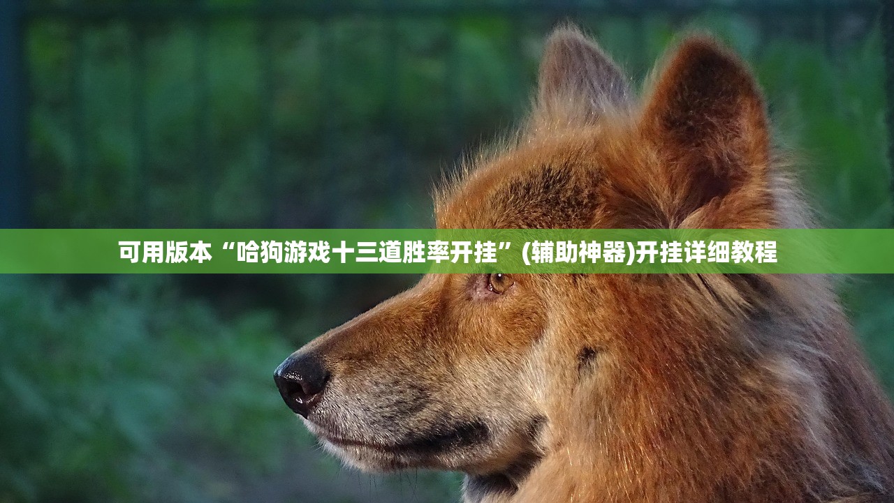 可用版本“微信斗牛挂视频教程”(透视挂)辅助下载教程