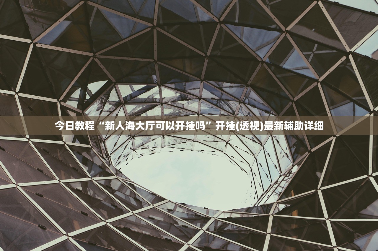 今日教程“新人海大厅可以开挂吗”开挂(透视)最新辅助详细