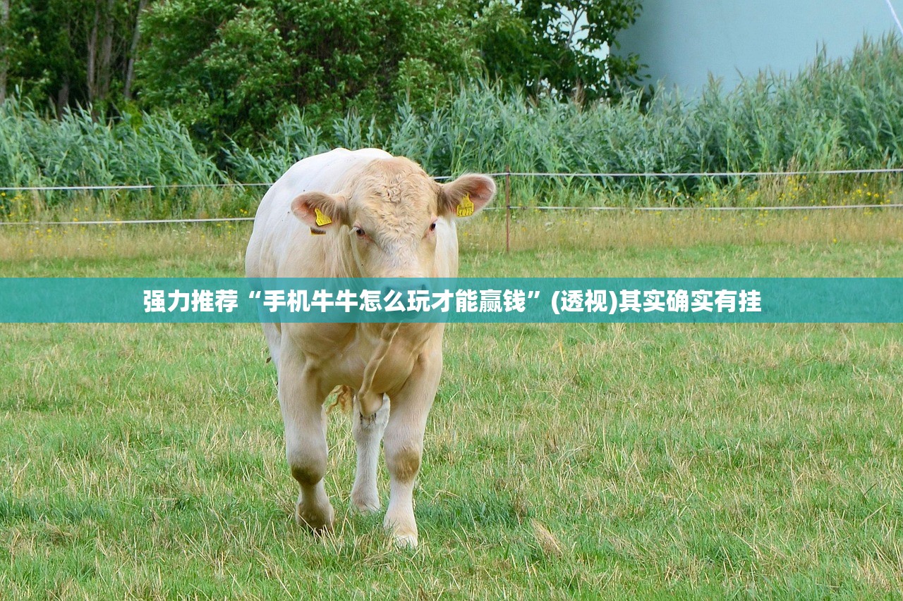 强力推荐“手机牛牛怎么玩才能赢钱”(透视)其实确实有挂