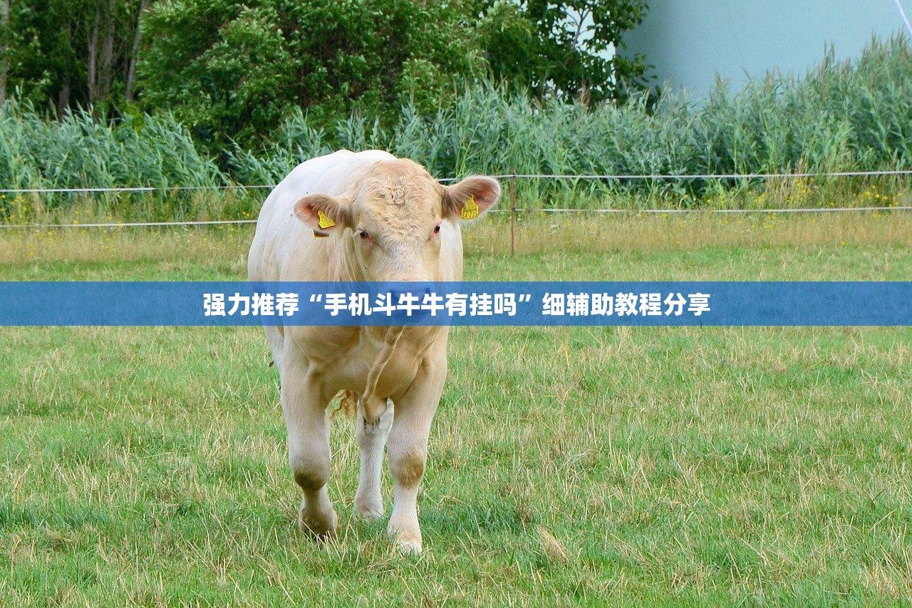 强力推荐“手机斗牛牛有挂吗”细辅助教程分享