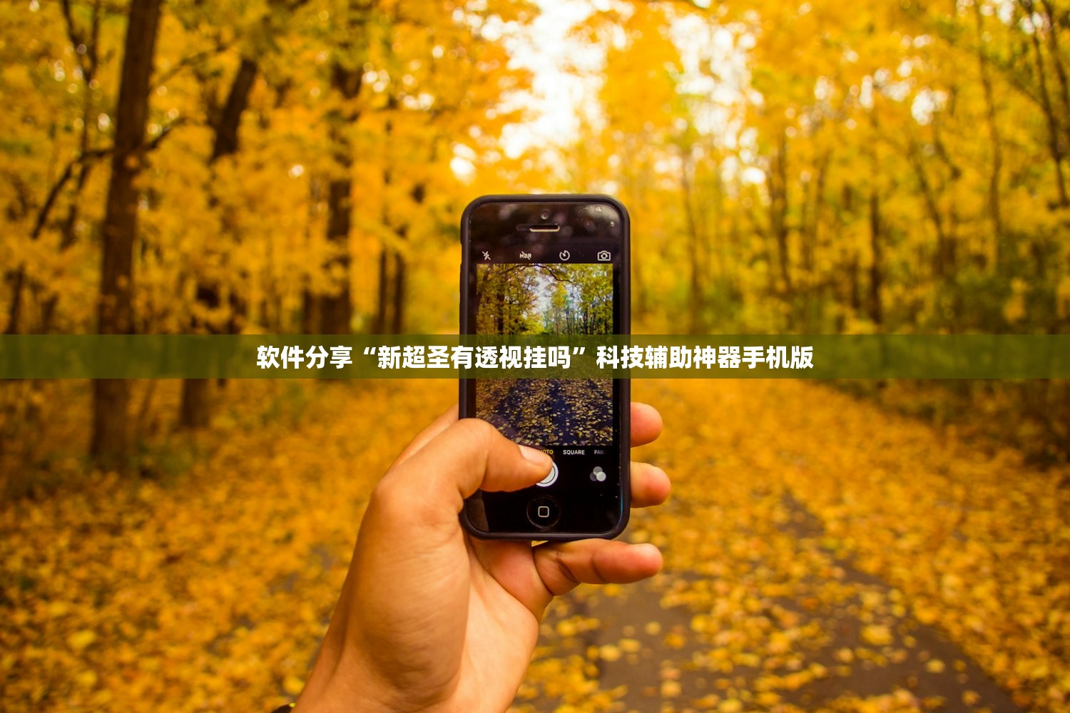 软件分享“新超圣有透视挂吗”科技辅助神器手机版