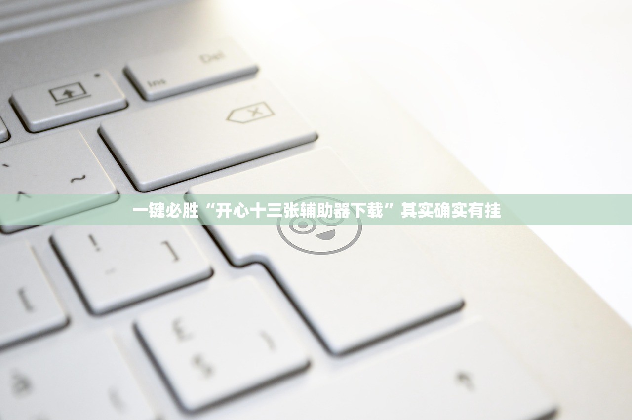 一键必胜“开心十三张辅助器下载”其实确实有挂