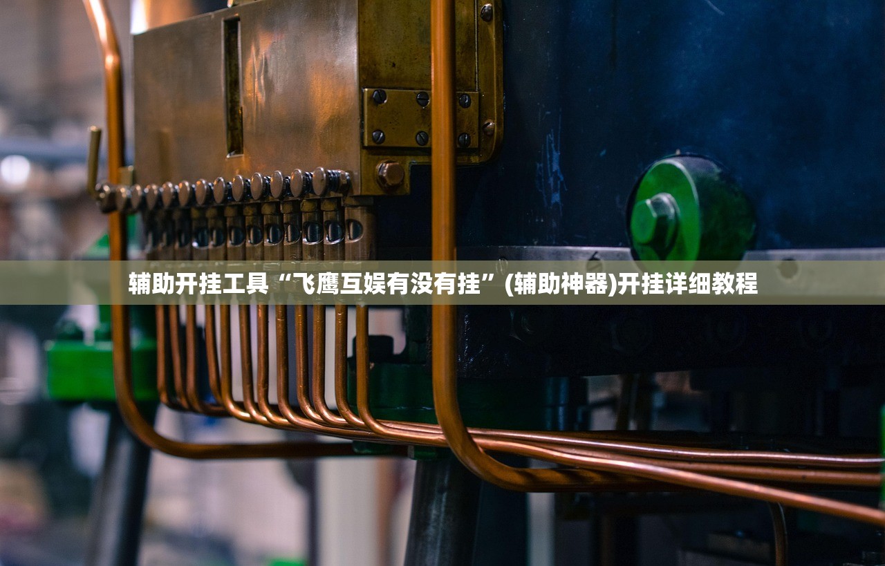 辅助开挂工具“飞鹰互娱有没有挂”(辅助神器)开挂详细教程