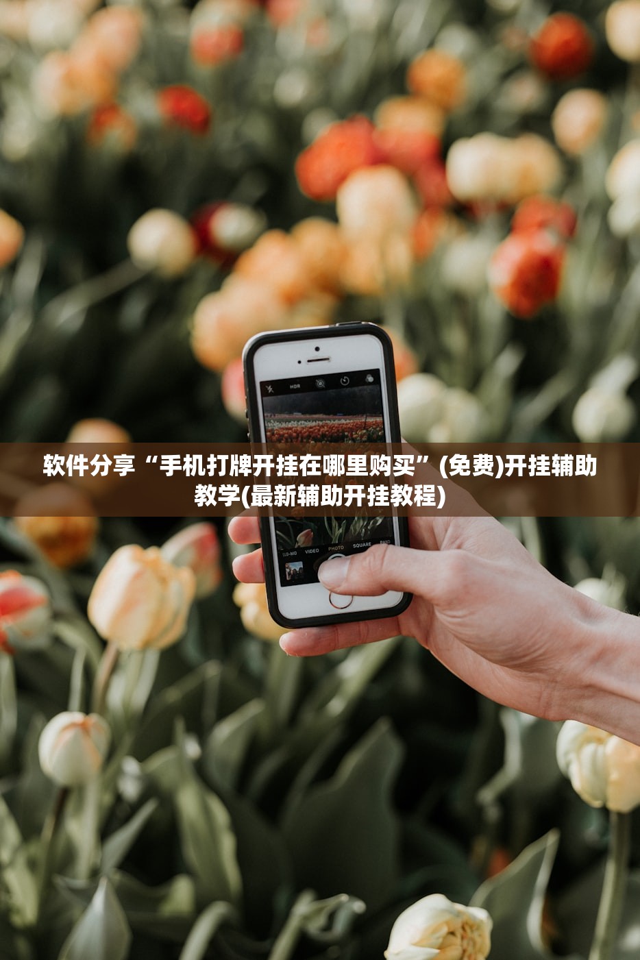 【呼和浩特市最新疫情信息/呼和浩特市疫情最新情况】