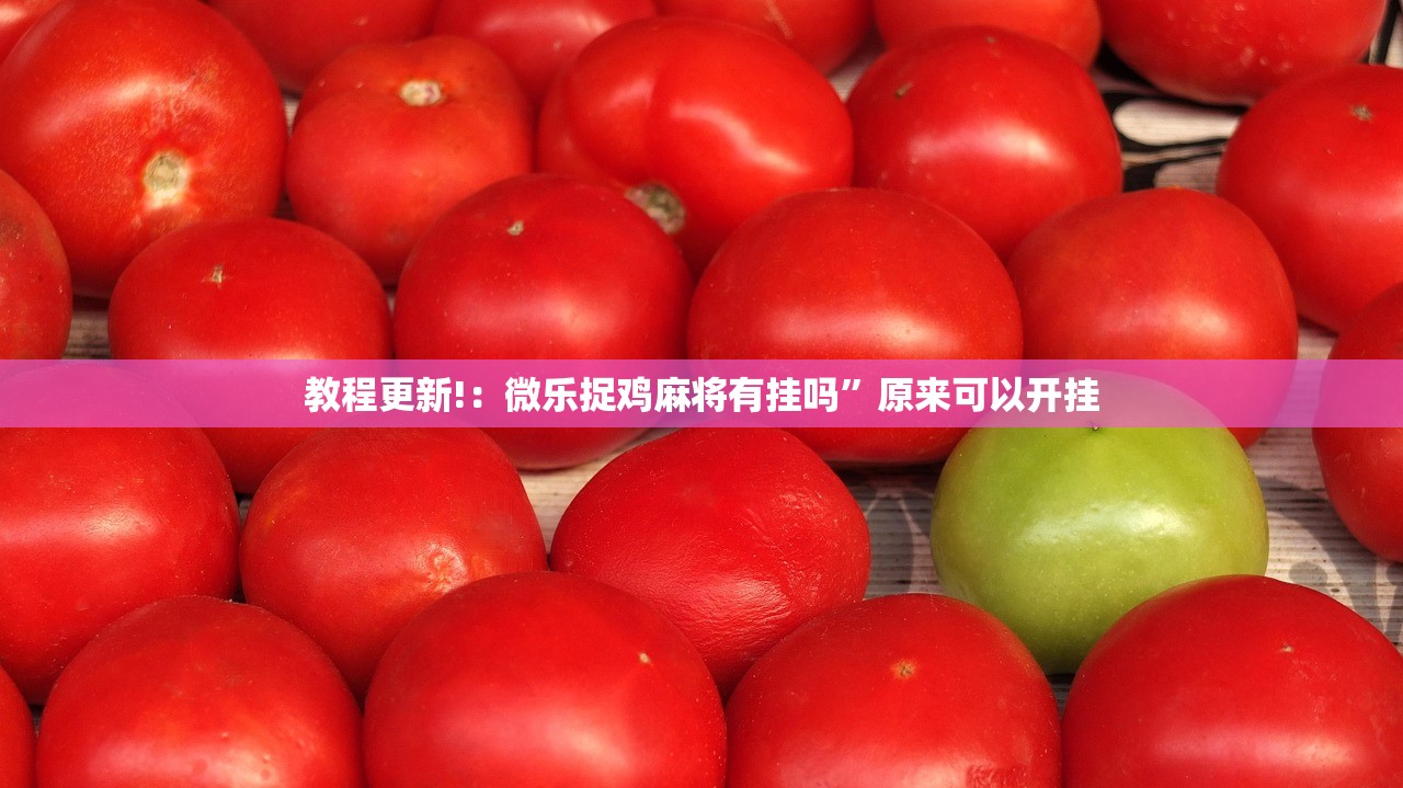 玩家辅助神器：新长虹大厅怎么开挂”详细外挂透视辅助软件教程