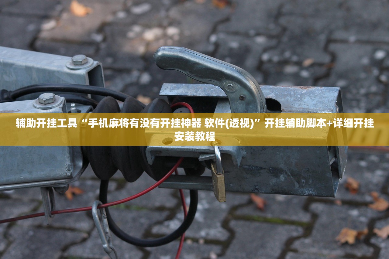 辅助开挂工具“手机麻将有没有开挂神器 软件(透视)	”开挂辅助脚本+详细开挂安装教程