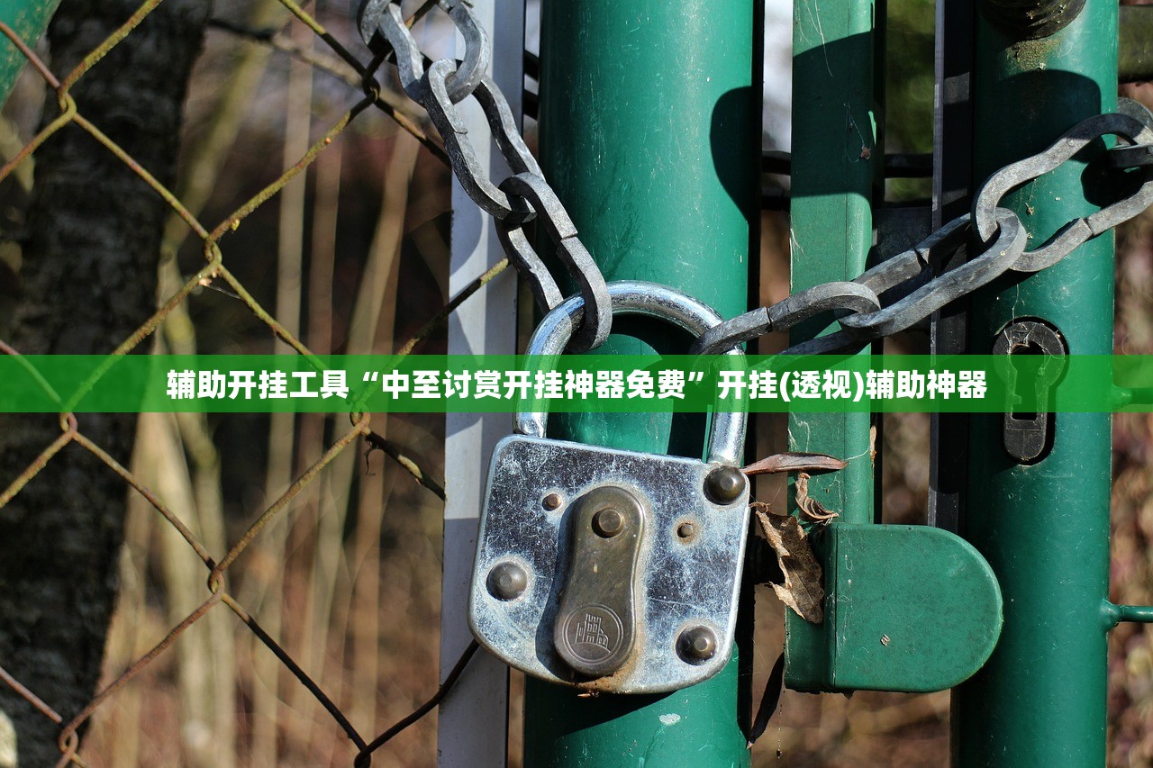 辅助开挂工具“中至讨赏开挂神器免费”开挂(透视)辅助神器