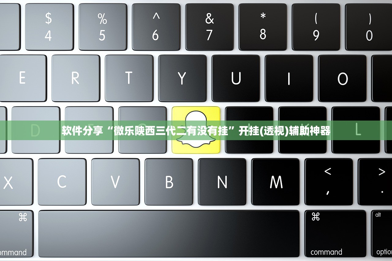 软件分享“微乐陕西三代二有没有挂”开挂(透视)辅助神器