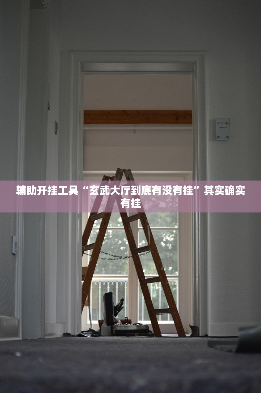 辅助开挂工具“玄武大厅到底有没有挂”其实确实有挂