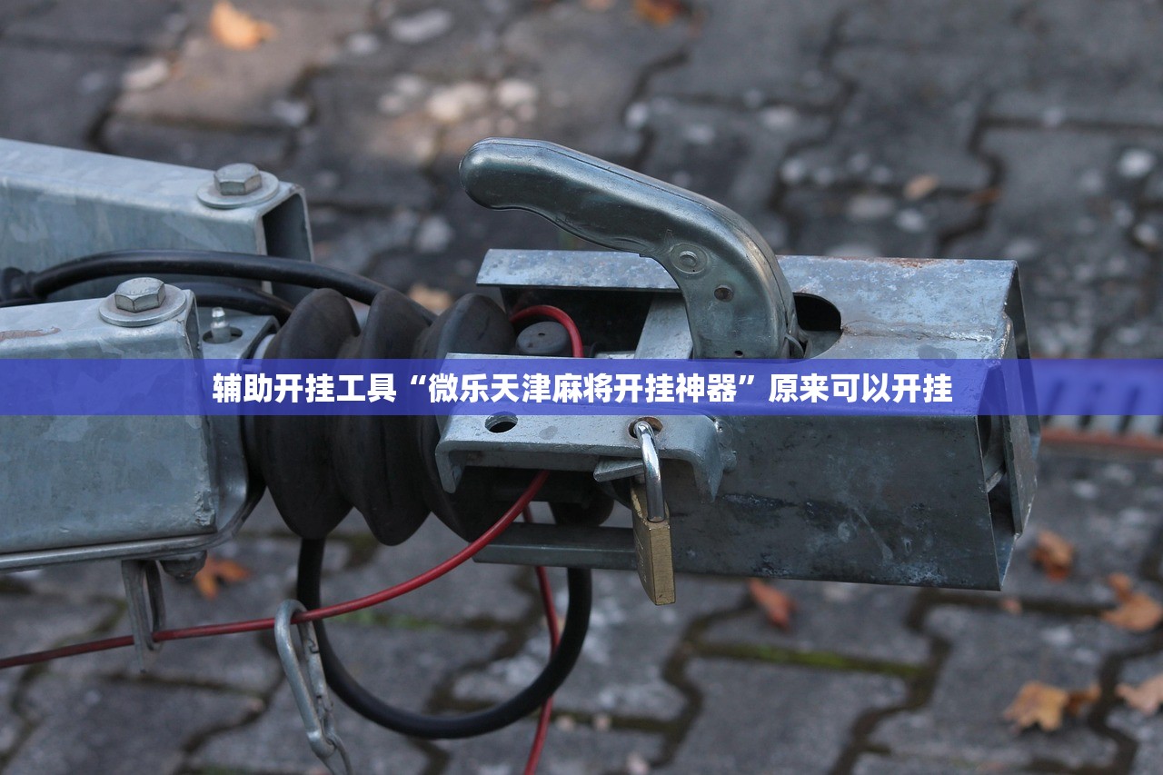软件分享“手机微乐麻将小程序必赢神器免费安装”详细开挂教程