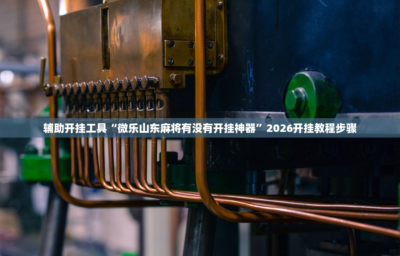 辅助开挂工具“微乐山东麻将有没有开挂神器”2026开挂教程步骤