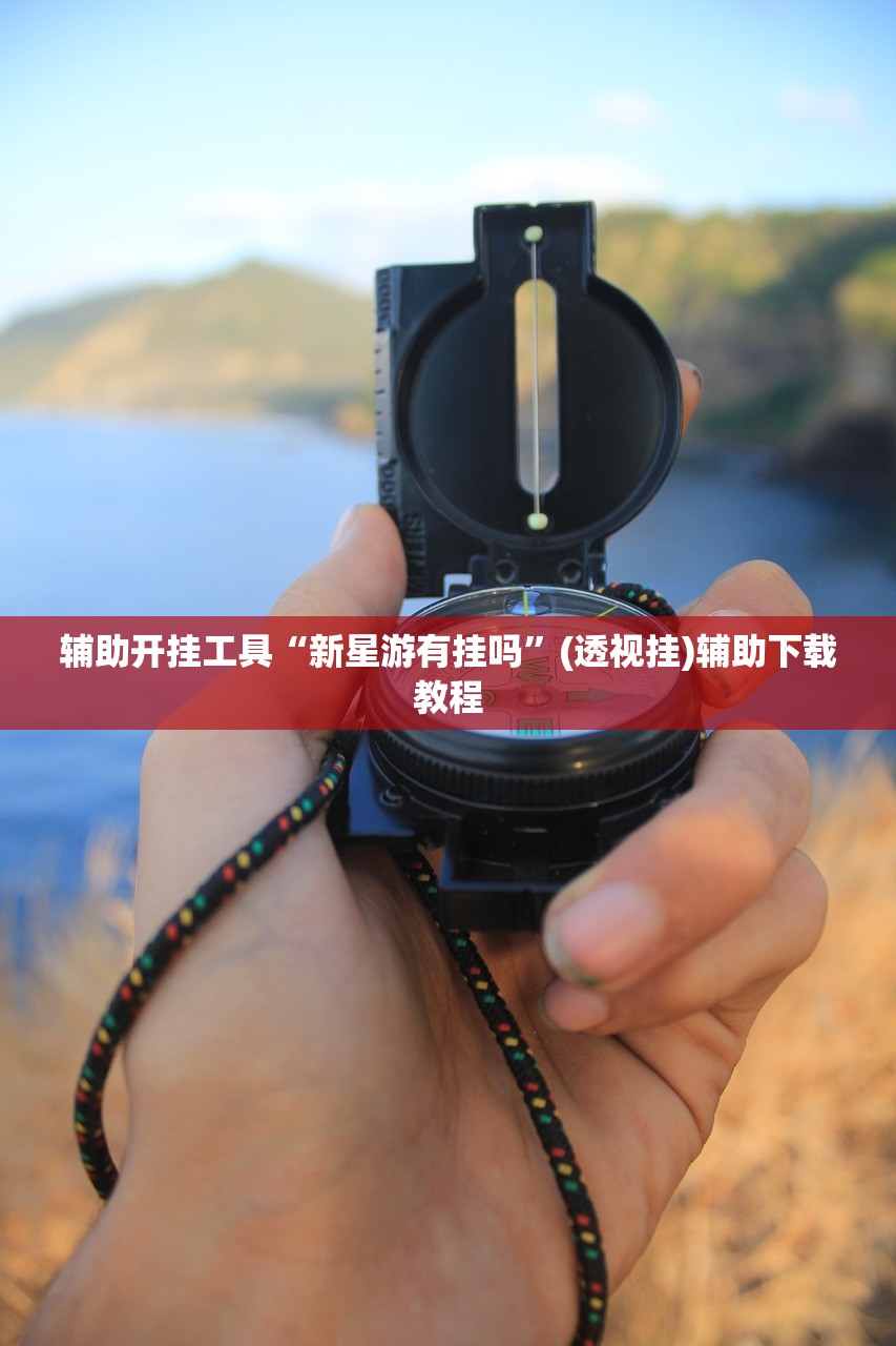 辅助开挂工具“新星游有挂吗”(透视挂)辅助下载教程