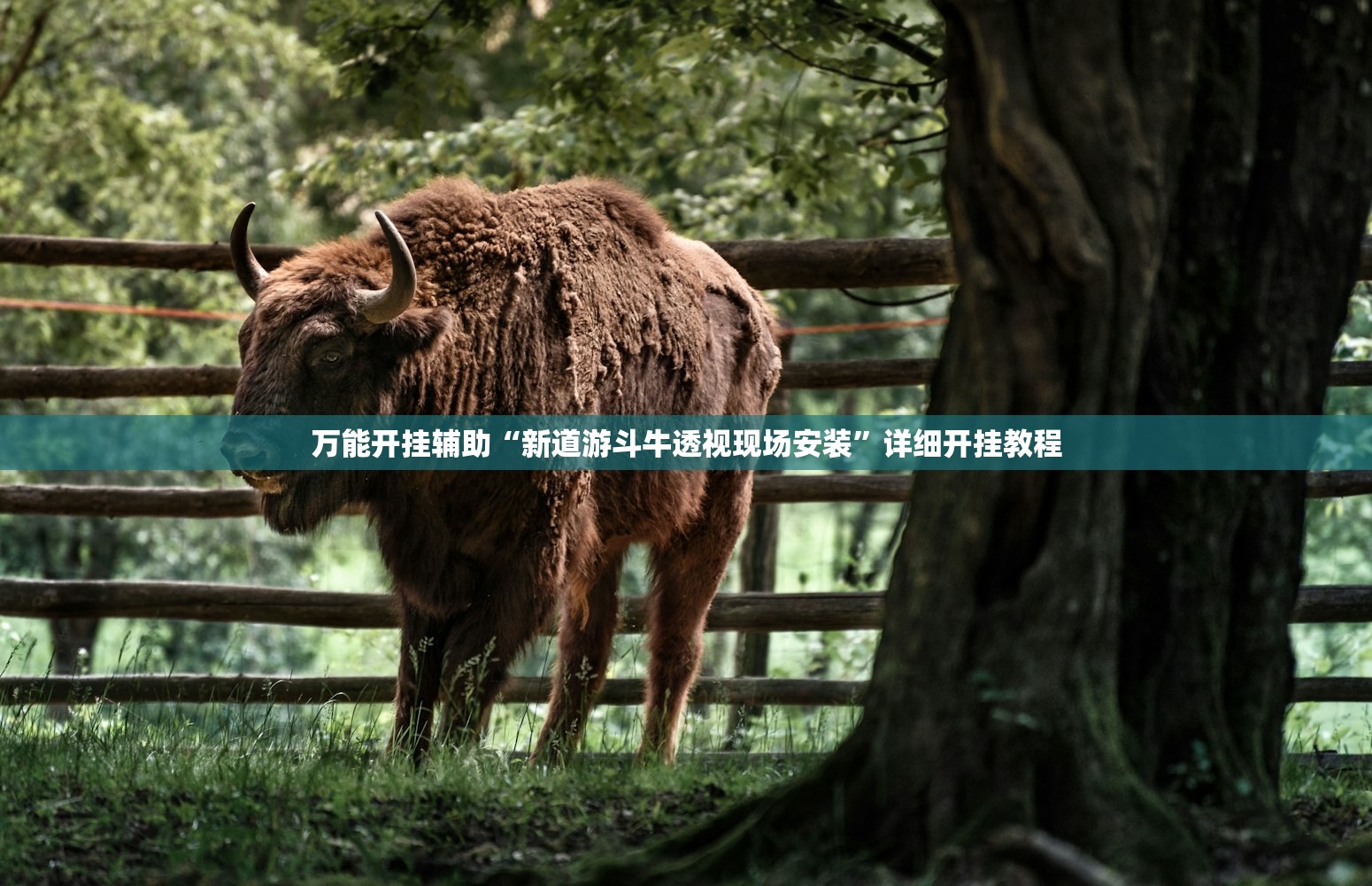 教程辅助!柠檬大厅怎么开挂”2026开挂教程步骤