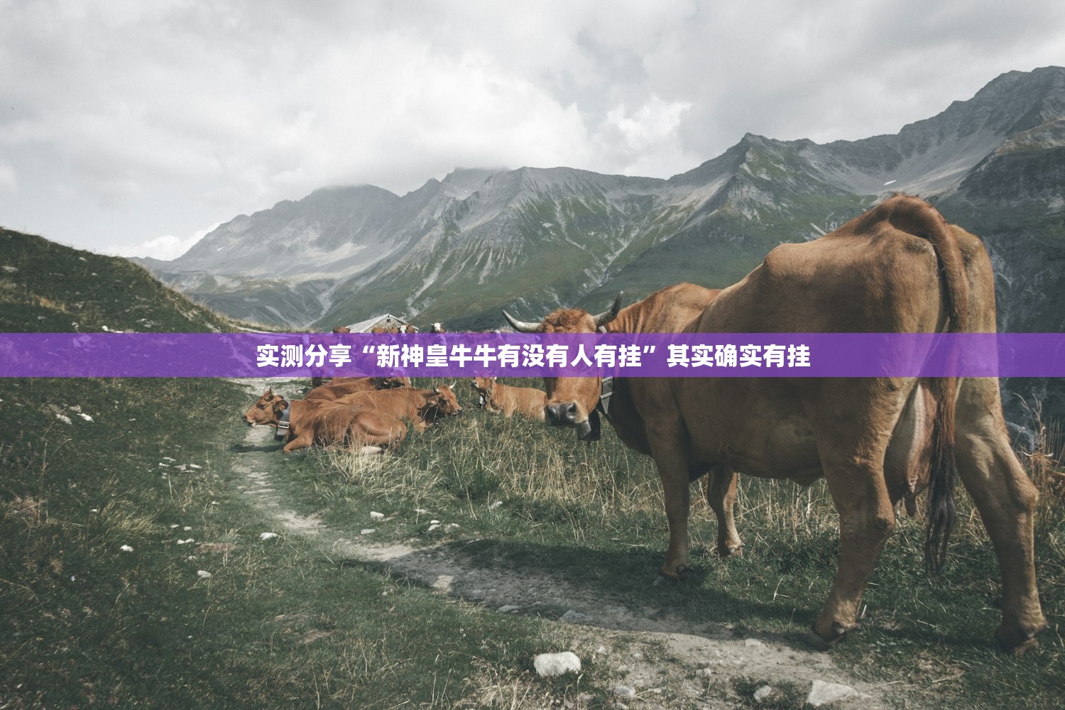 天津精装修二手房出售:天津二手房简单装修