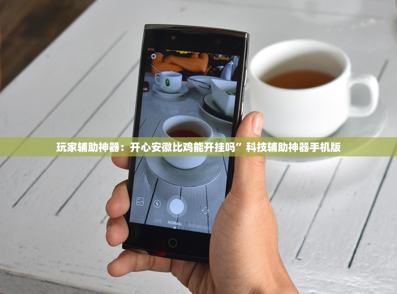 玩家辅助神器：开心安徽比鸡能开挂吗”科技辅助神器手机版