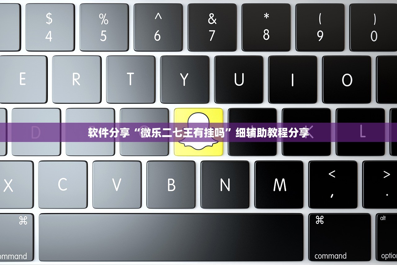 实测分享“白金岛二七王开挂辅助器通用版”开挂辅助脚本+详细开挂安装教程