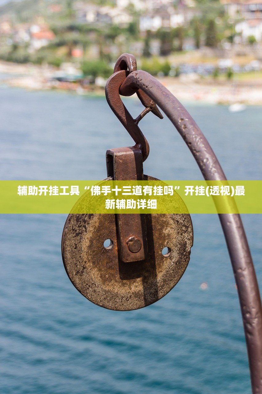辅助开挂工具“佛手十三道有挂吗”开挂(透视)最新辅助详细
