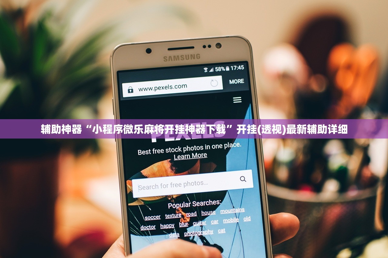 辅助神器“小程序微乐麻将开挂神器下载	”开挂(透视)最新辅助详细