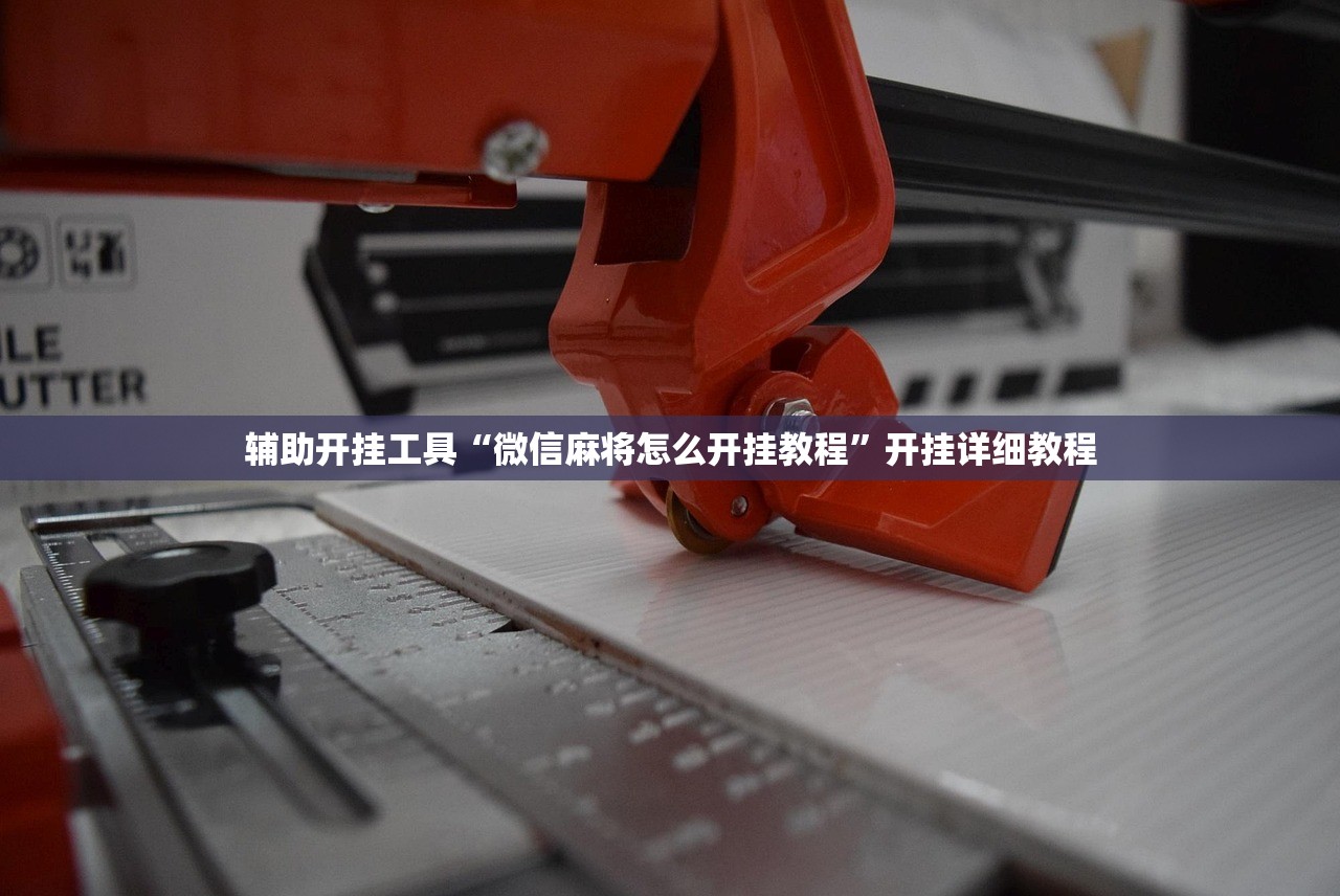 辅助开挂工具“微信麻将怎么开挂教程”开挂详细教程