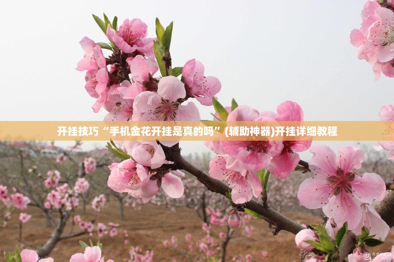 开挂技巧“手机金花开挂是真的吗”(辅助神器)开挂详细教程