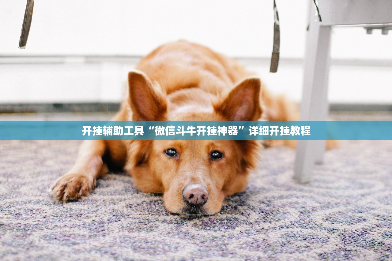 31省区市新增境外输入18例（31省区市新增境外输入12）
