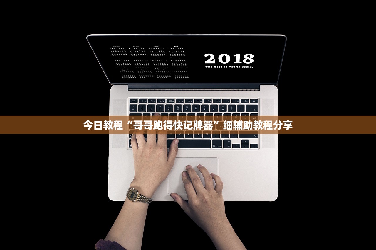 今日教程“哥哥跑得快记牌器”细辅助教程分享