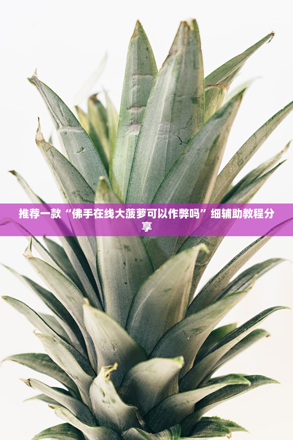 推荐一款“佛手在线大菠萝可以作弊吗”细辅助教程分享