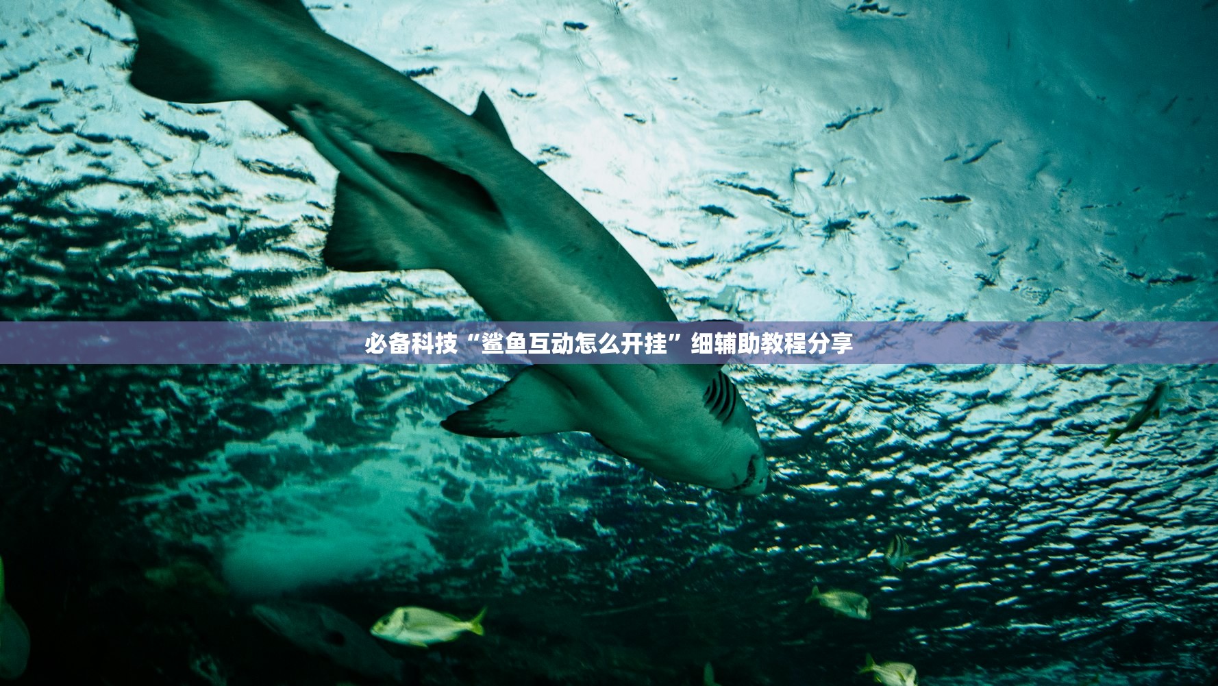 哈尔滨新冠肺炎疫情/哈尔滨新冠肺炎情况