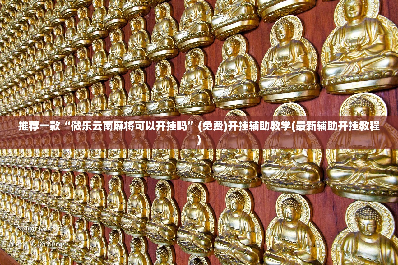 教程辅助!“边锋干瞪眼挂最简单处理方法(透视)”开挂辅助脚本+详细开挂安装教程