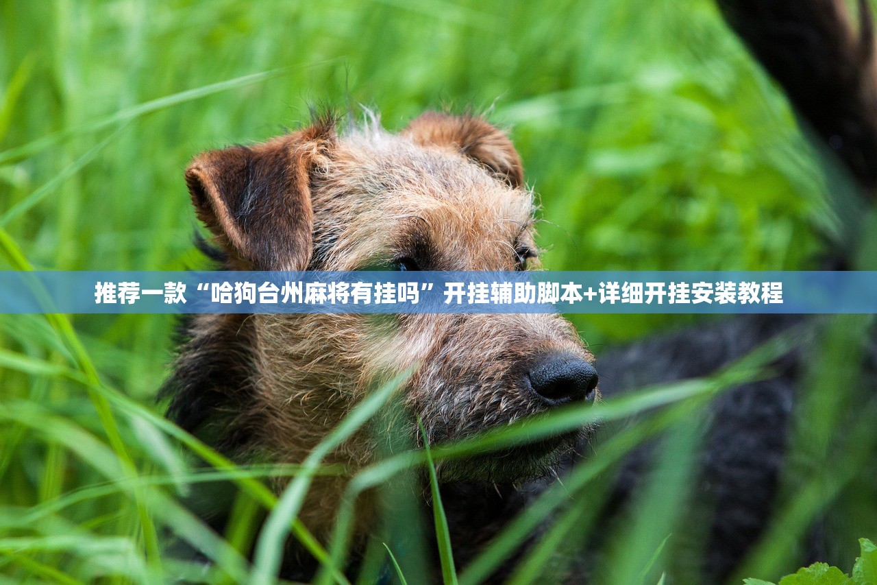 推荐一款“哈狗台州麻将有挂吗”开挂辅助脚本+详细开挂安装教程