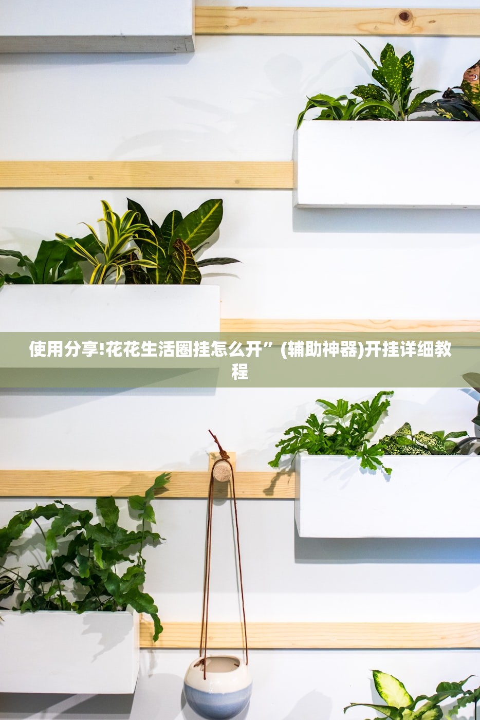 使用分享!花花生活圈挂怎么开	”(辅助神器)开挂详细教程