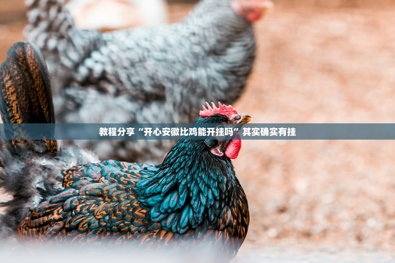 周大福今日金价查询/张万福今日金价