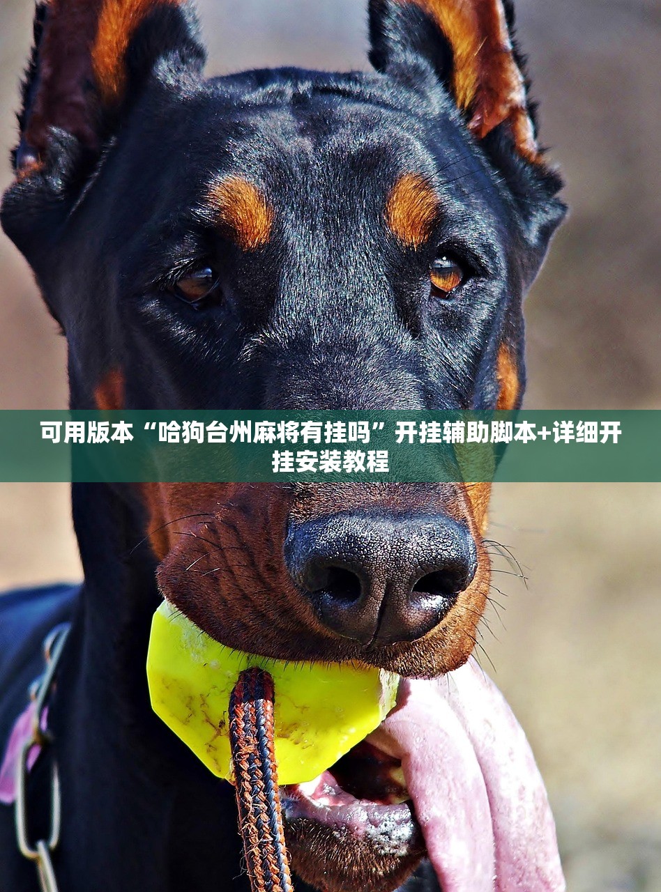 可用版本“哈狗台州麻将有挂吗”开挂辅助脚本+详细开挂安装教程