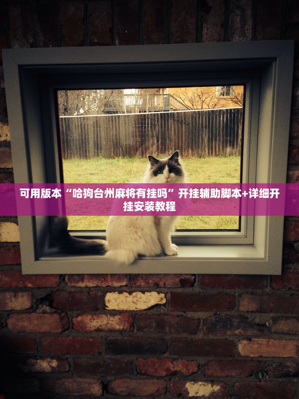 可用版本“哈狗台州麻将有挂吗	”开挂辅助脚本+详细开挂安装教程